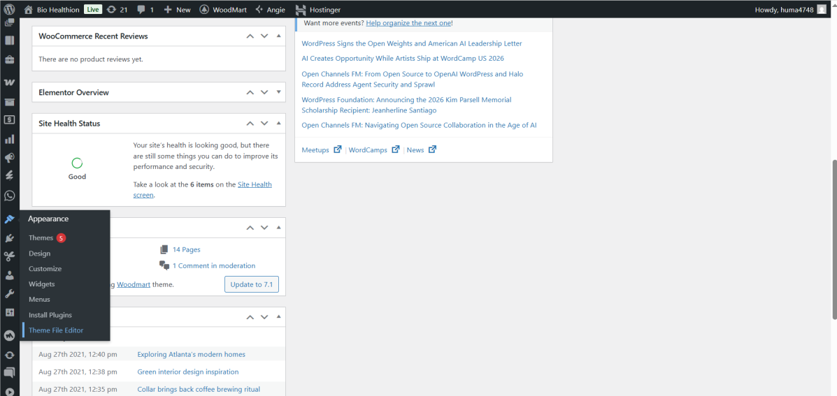 WordPress admin Appearance menu with Theme File Editor option